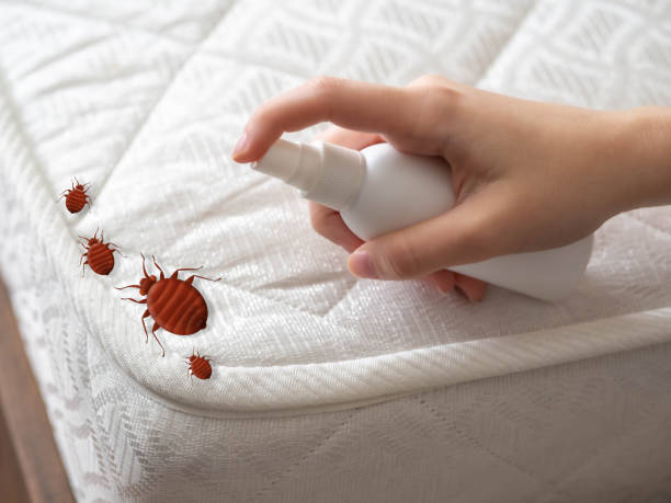 Best Bed Bug Extermination  in Arnold, PA
