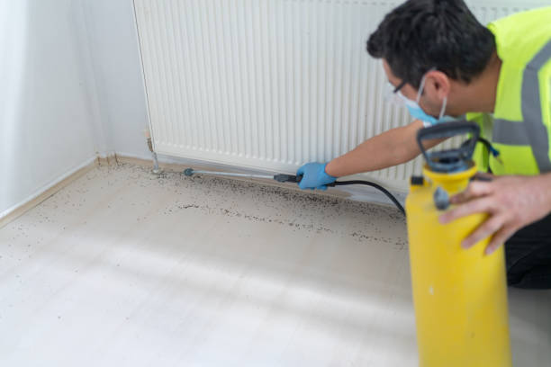 Wasp Removal Services in Arnold, PA