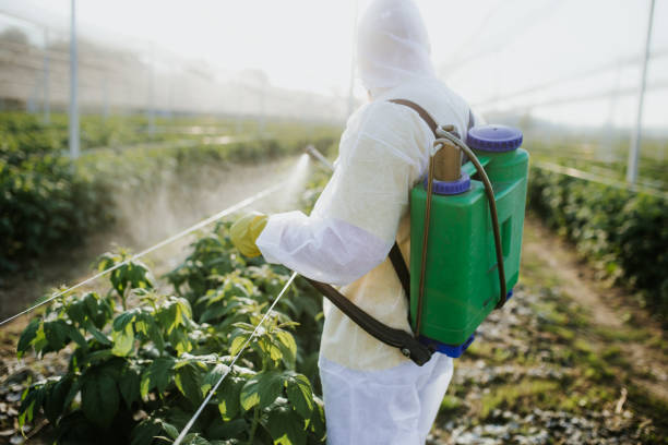 Trusted Arnold, PA Pest Control Experts